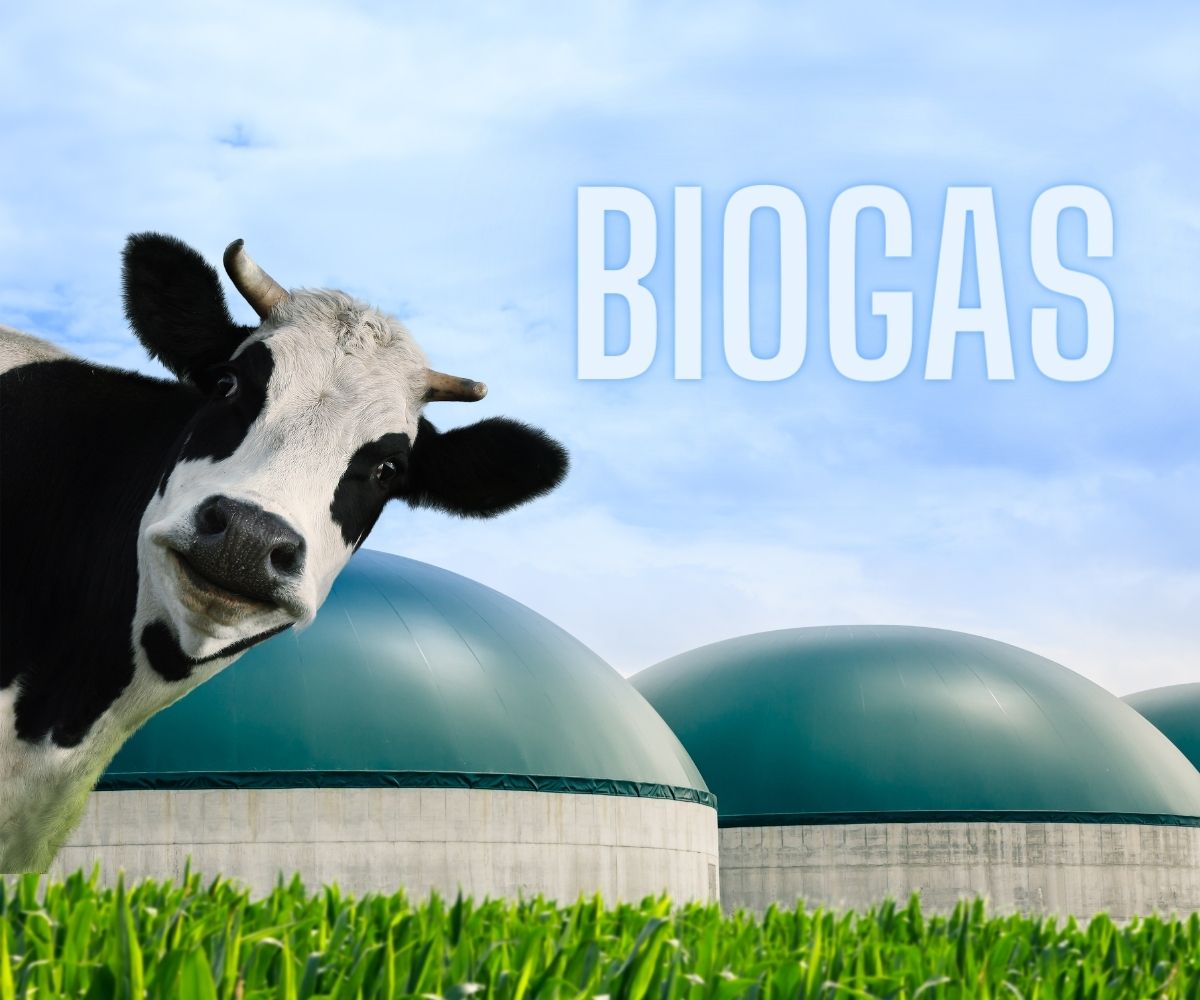 Advantages of Desulfurization in Biogas Plants H2 Energy Group